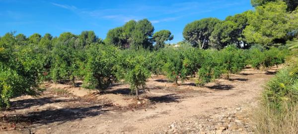 Terreno en plaza Poligono N-40.R