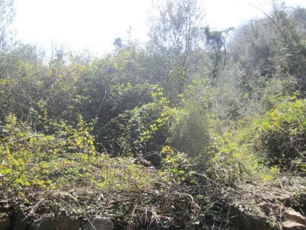 Terreno en Polígono 35, 35