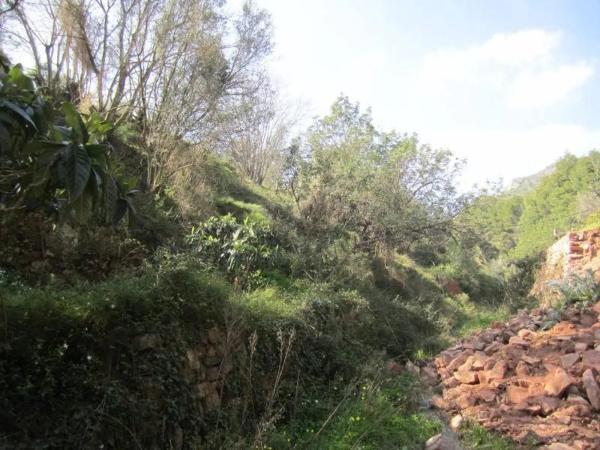Terreno en Polígono 35, 35
