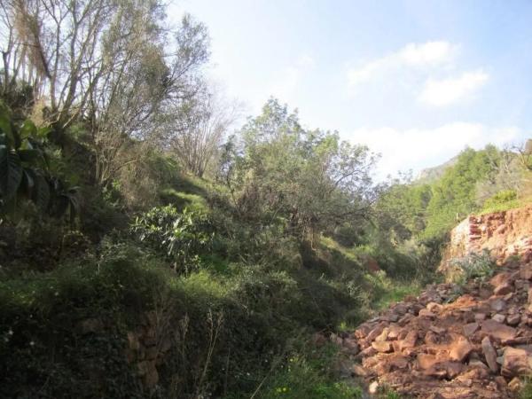 Terreno en Polígono 35, 35