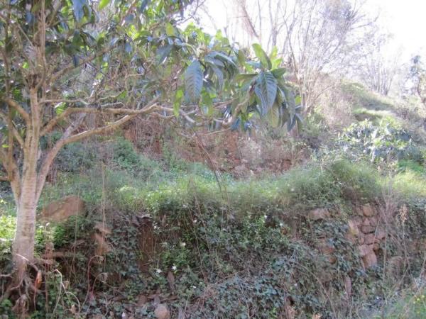 Terreno en Polígono 35, 35