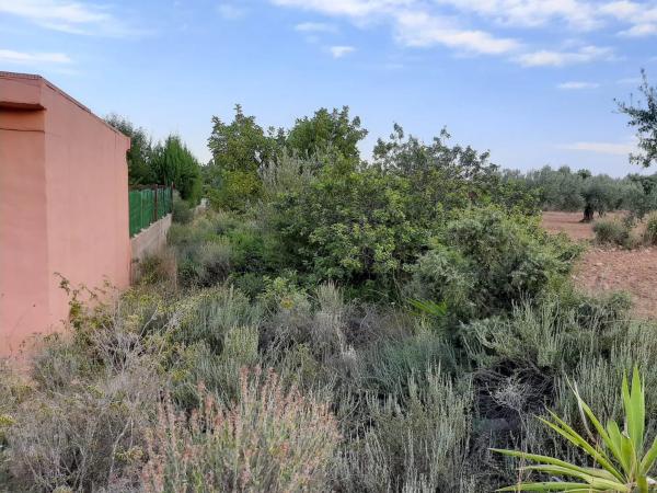 Terreno en Partida Pla de la Torre, 58