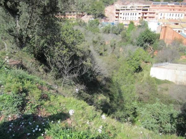 Terreno en Polígono 35, 35