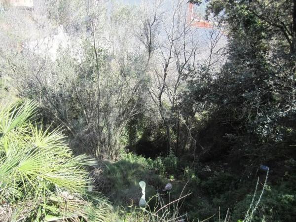 Terreno en Polígono 35, 35