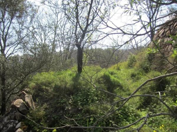 Terreno en Polígono 35, 35