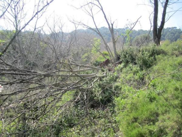 Terreno en Polígono 35, 35