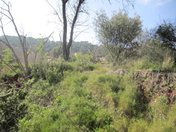 Terreno en Polígono 35, 35