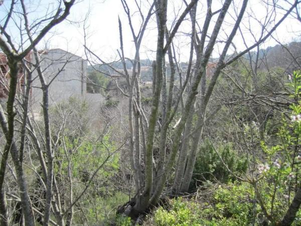 Terreno en Polígono 35, 35