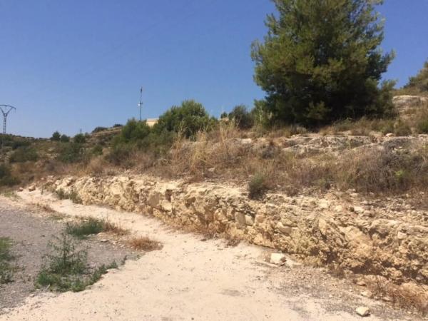 Terreno en calle Picaor, 44