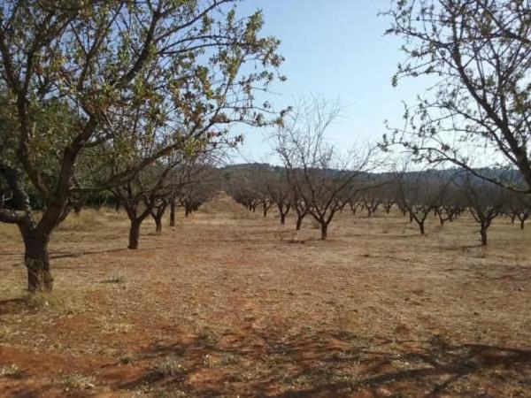 Terreno en camino de Horquera