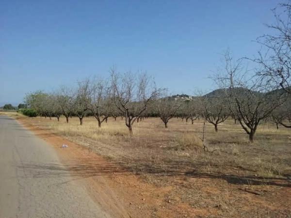 Terreno en camino de Horquera