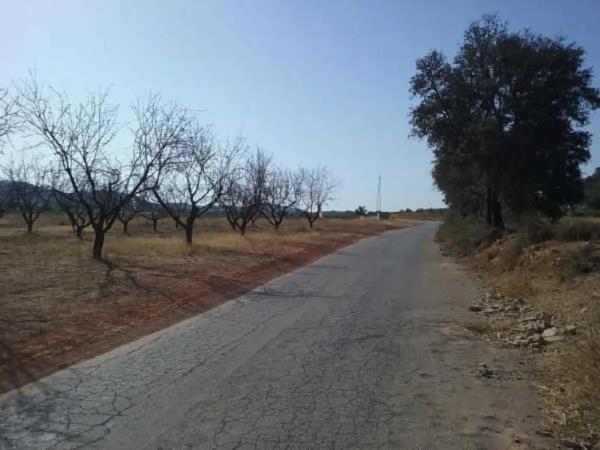 Terreno en camino de Horquera