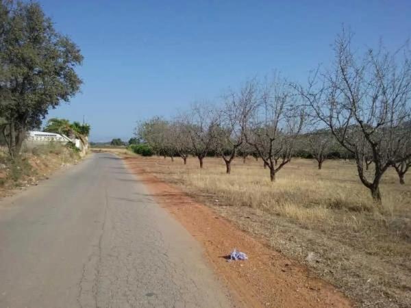 Terreno en camino de Horquera