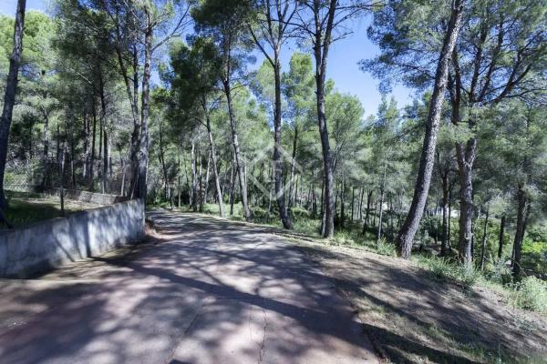 Terreno en Casco Urbano