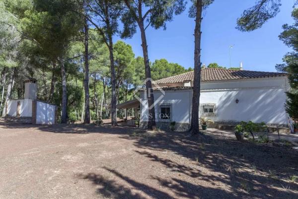 Terreno en Casco Urbano