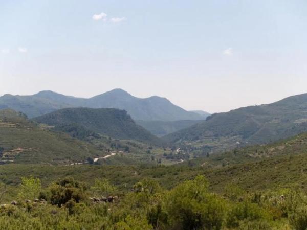 Terreno en camino Portichol s/n