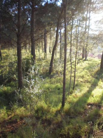 Terreno en camino Portichol s/n