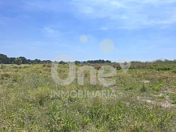 Terreno en Urbanización la Conarda