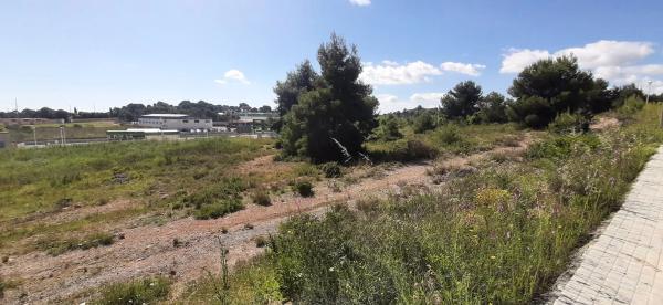 Terreno en calle la Foia de Bunyol, 4