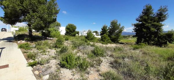 Terreno en calle la Foia de Bunyol, 4