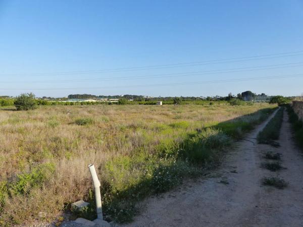 Terreno en Camì Paterna-Lloma del Calderer