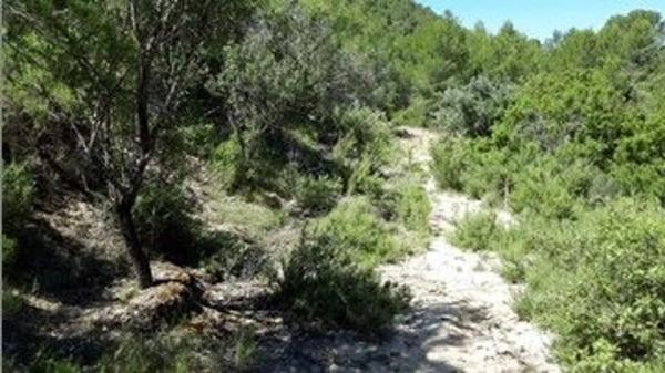 Terreno en plaza Diseminados