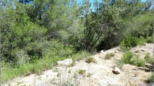 Terreno en plaza Diseminados