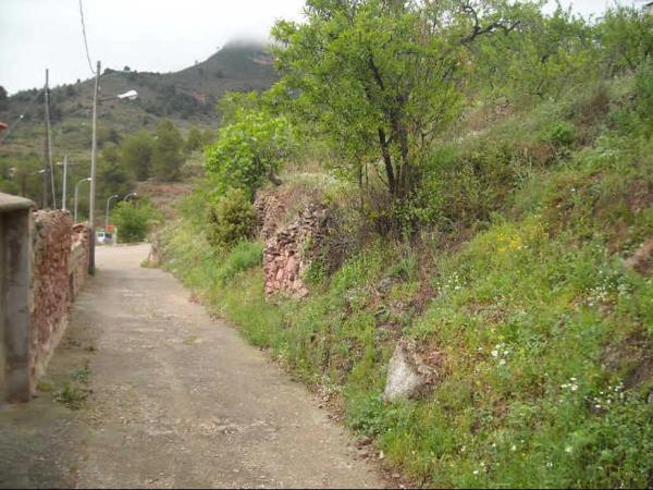 Terreno en calle Aguila, 62