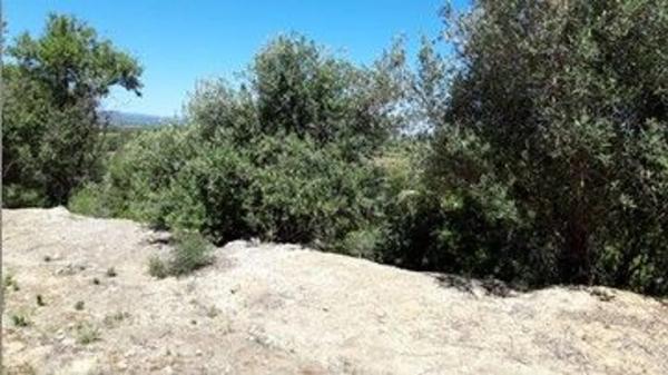 Terreno en plaza Diseminados