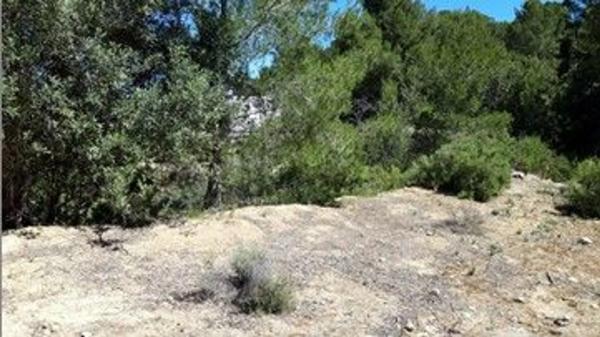 Terreno en plaza Diseminados