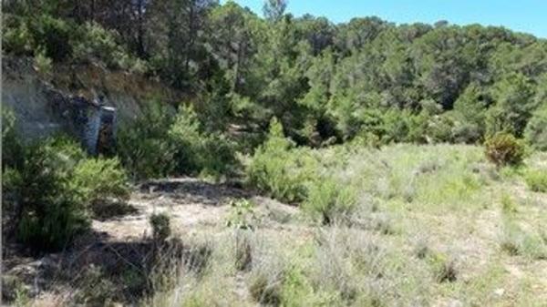 Terreno en plaza Diseminados