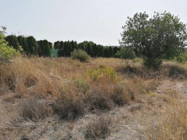 Terreno en Urbanización Caramello K9-8, 133 Parcela