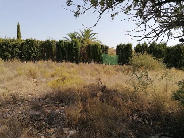 Terreno en Urbanización Caramello K9-8, 133 Parcela