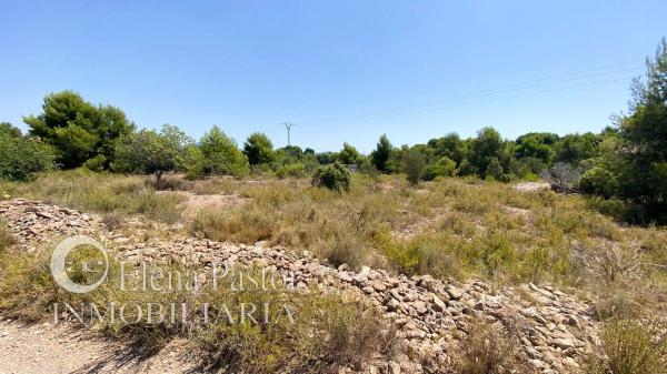 Terreno en les almudes s/n