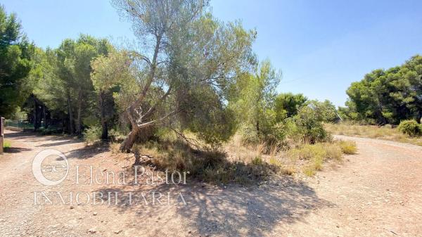 Terreno en les almudes s/n