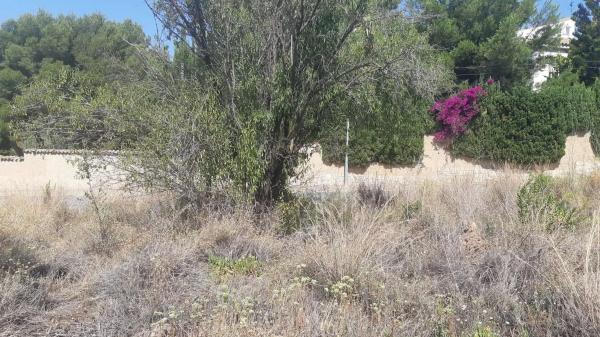 Terreno en calle de les Pedreres, 4