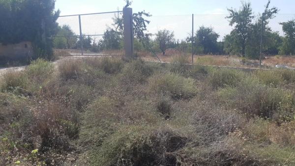 Terreno en calle de les Pedreres, 4