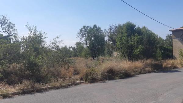 Terreno en calle de les Pedreres, 4