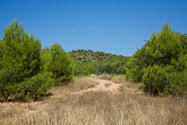 Terreno en Partida Pla de la Torre, km 3