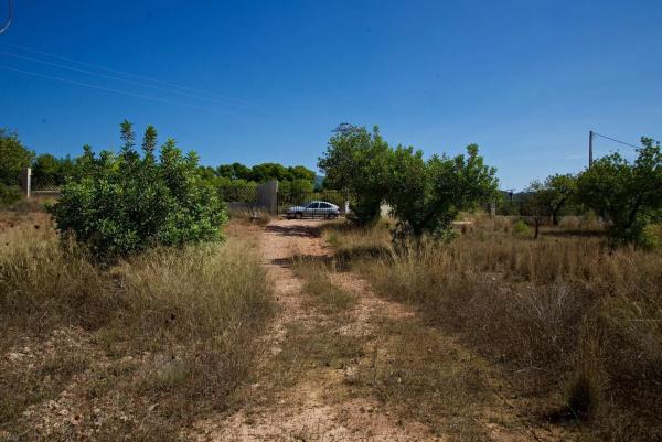 Terreno en Partida Pla de la Torre, km 3