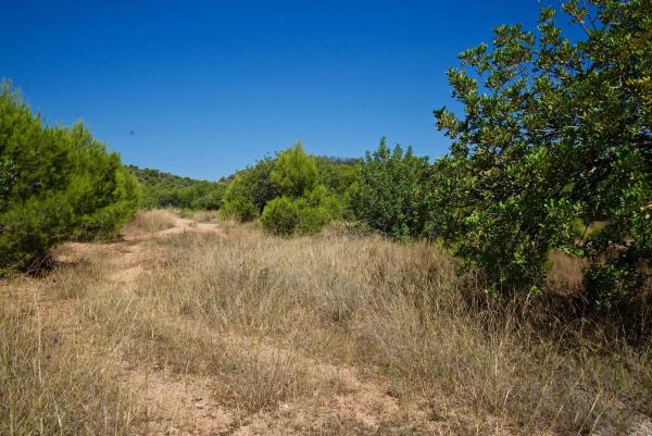 Terreno en Partida Pla de la Torre, km 3