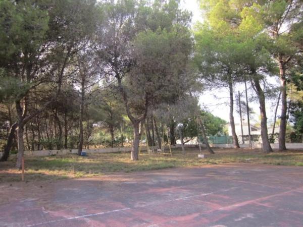 Terreno en Brucar s/n