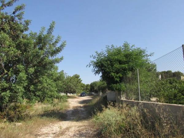 Terreno en La Conarda s/n