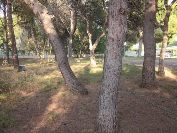 Terreno en Brucar s/n