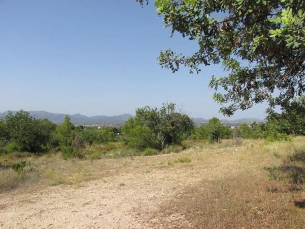 Terreno en La Conarda s/n