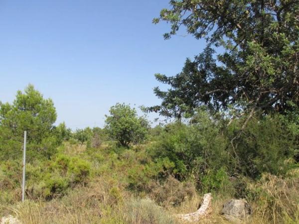 Terreno en La Conarda s/n