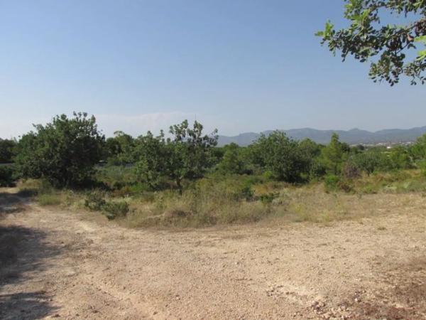 Terreno en La Conarda s/n