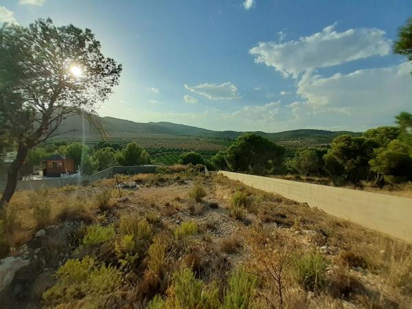Terreno en Oliveres