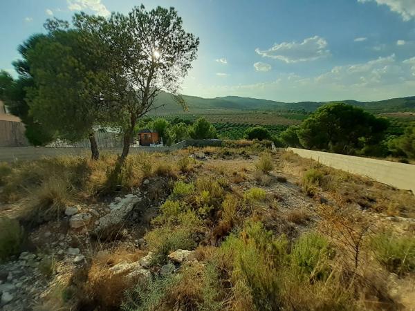 Terreno en Oliveres