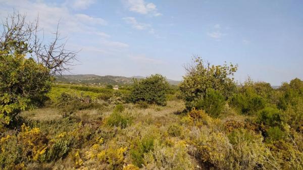 Terreno en Casco Antiguo